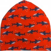 Orange sharks hat